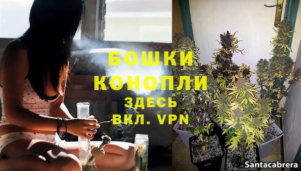 молекула духа Надым
