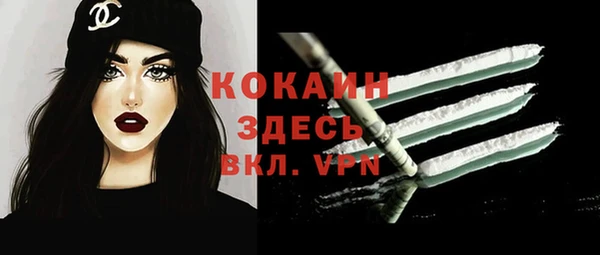 молекула духа Надым