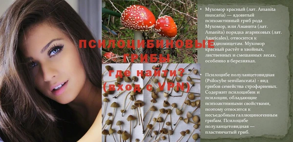 молекула духа Надым