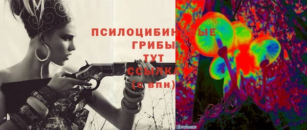 молекула духа Надым