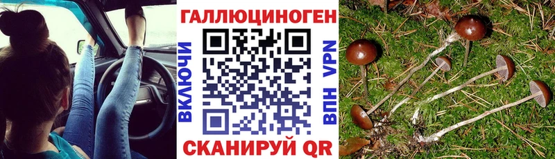 omg зеркало  Сусуман  Галлюциногенные грибы Psilocybe  где купить наркотик 